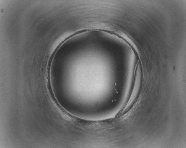 X0000063521093200601201427