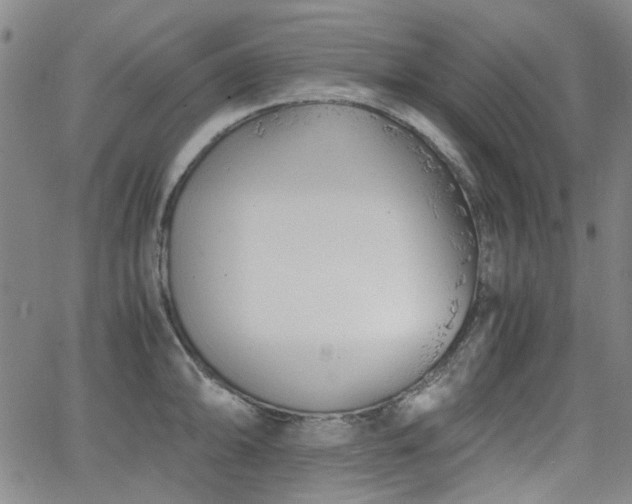 X0000063521094200601201427