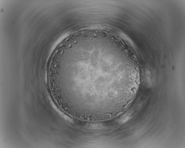 X0000063521095200601201427