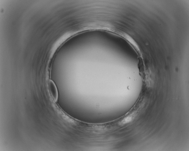 X0000063521096200601201427