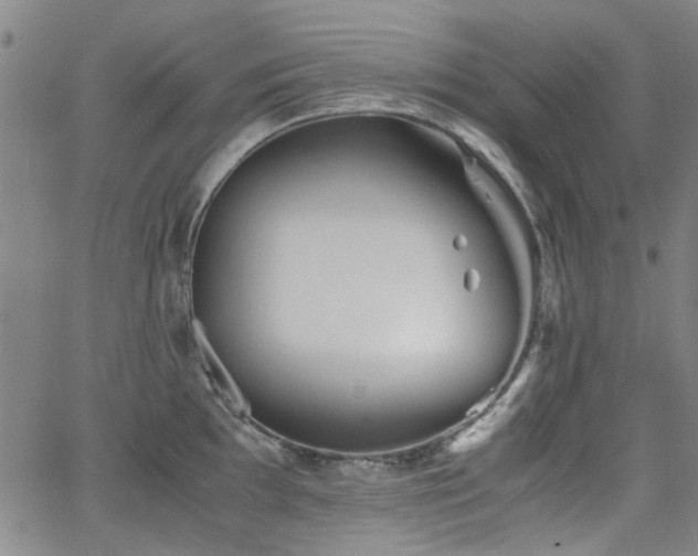 X0000063521097200601201427