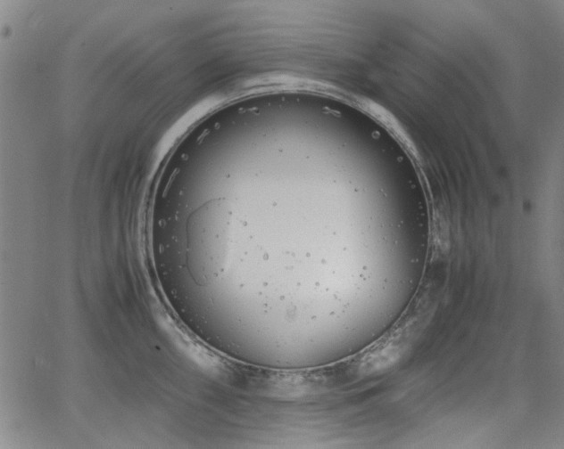 X0000063521098200601201427