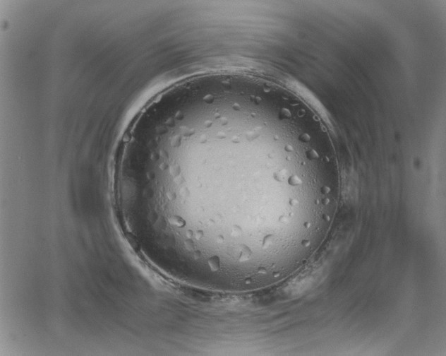 X0000063521099200601201427