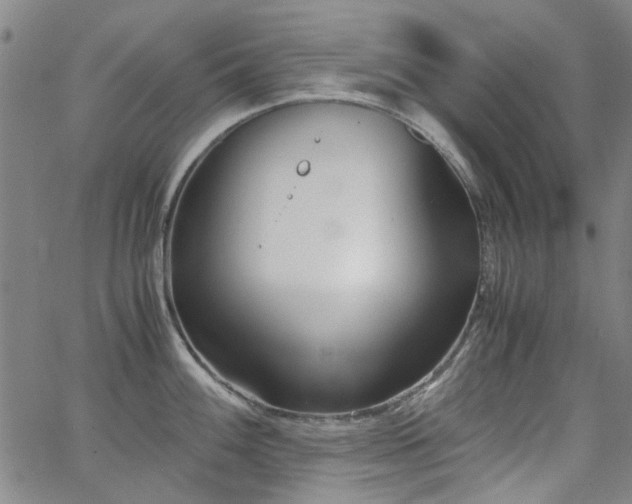 X0000063521100200601201427