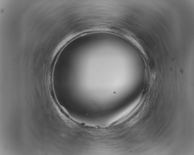 X0000063521101200601201426