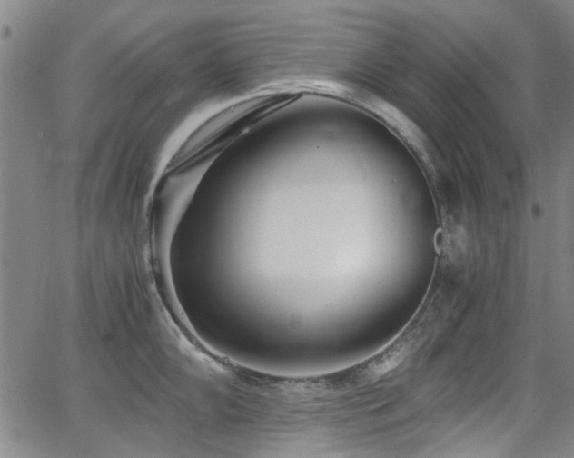 X0000063521102200601201426