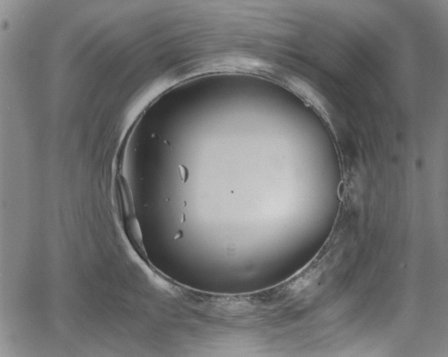 X0000063521103200601201426