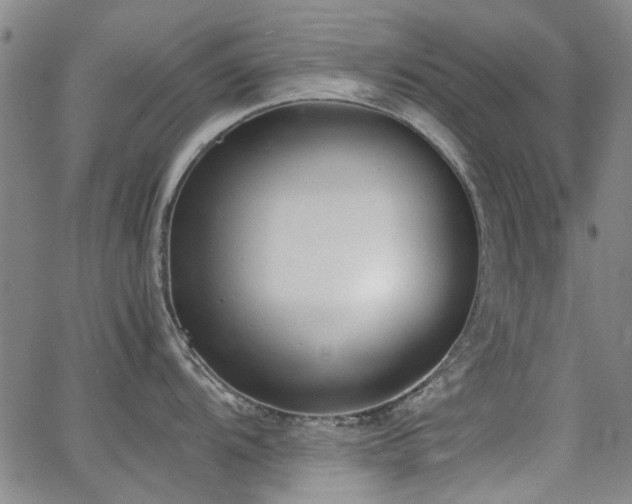 X0000063521104200601201426