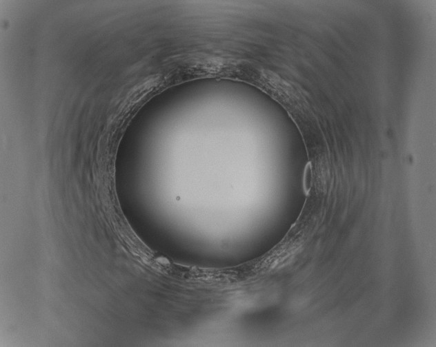 X0000063521105200601201426