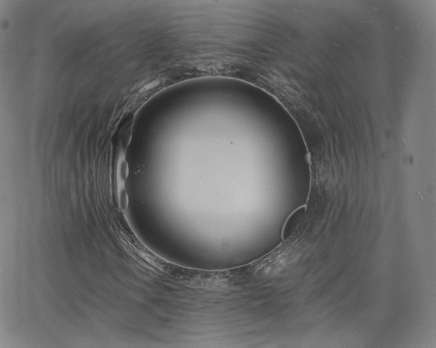 X0000063521106200601201426