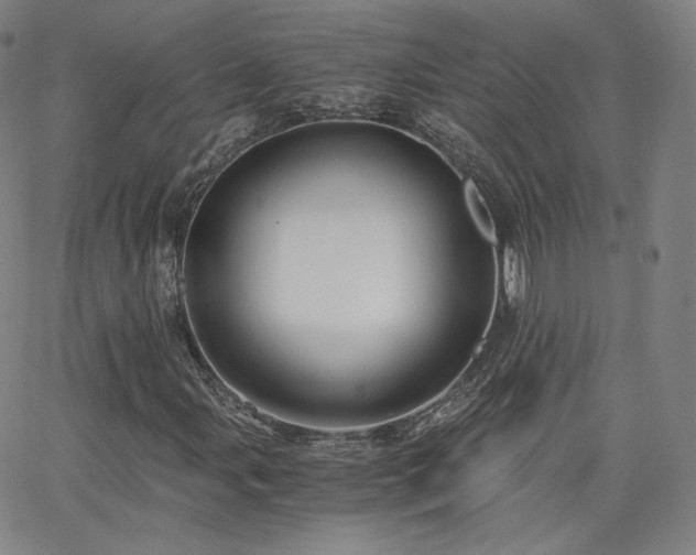 X0000063521107200601201426