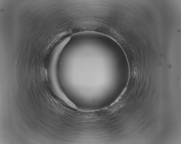 X0000063521108200601201426