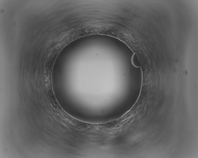 X0000063521109200601201426