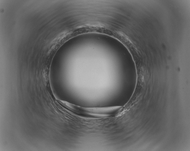 X0000063521110200601201426