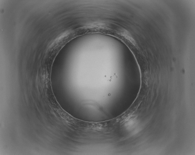 X0000063521111200601201426