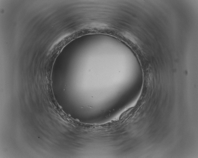 X0000063521112200601201426