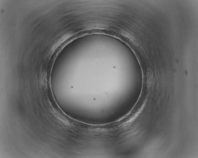 X0000063521113200601201426