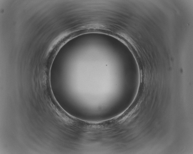 X0000063521115200601201426