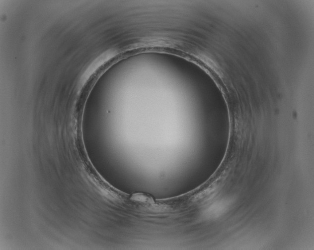 X0000063521119200601201426