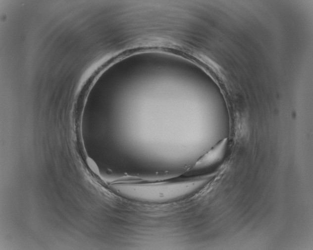 X0000063521120200601201426