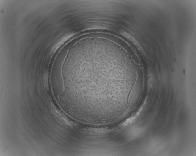 X0000063521121200601201426