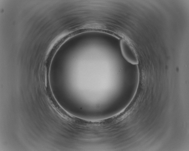 X0000063521123200601201426