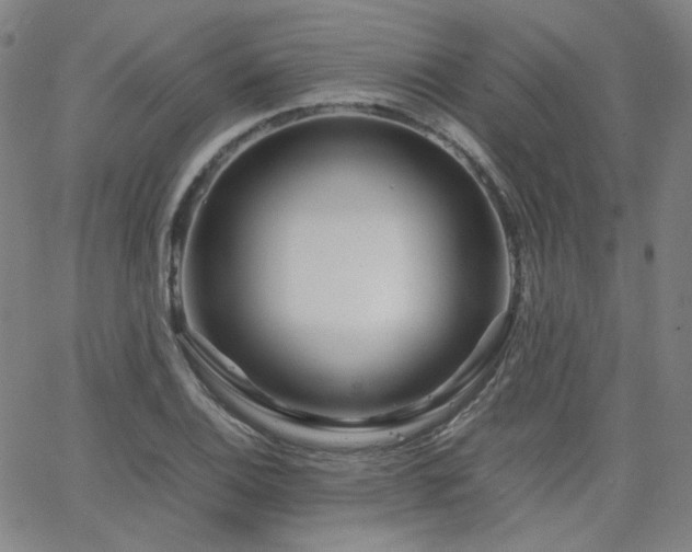 X0000063521124200601201426