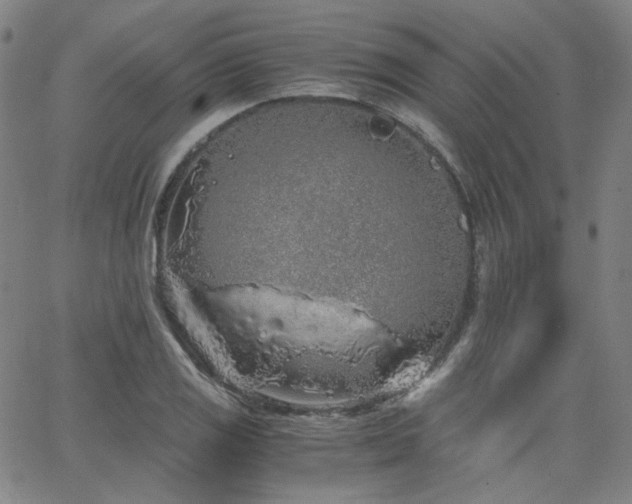 X0000063521125200601201426