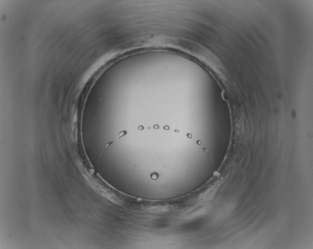 X0000063521126200601201426