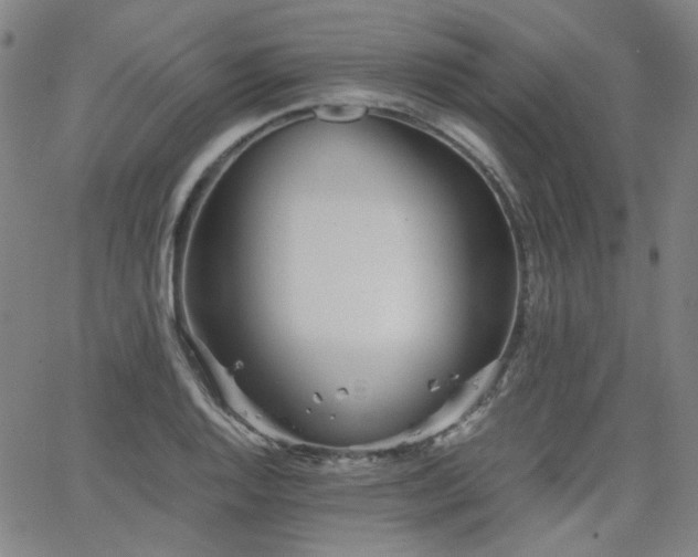 X0000063521128200601201426