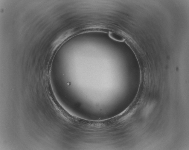 X0000063521129200601201426