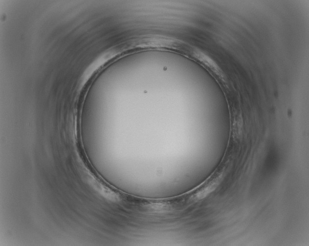 X0000063521130200601201426