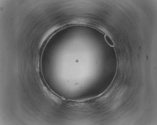 X0000063521131200601201426