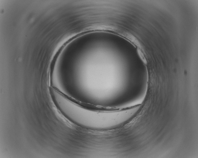 X0000063521132200601201426