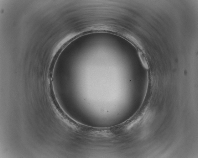 X0000063521133200601201426