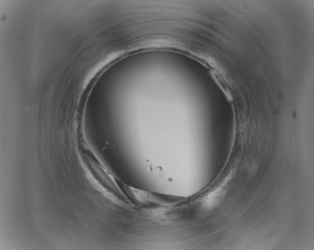 X0000063521134200601201426