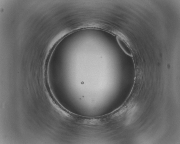 X0000063521135200601201426