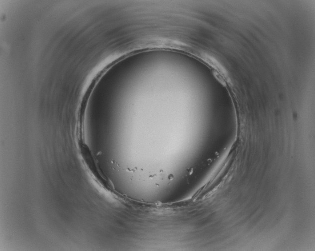 X0000063521136200601201426