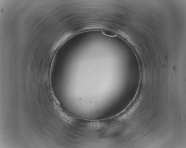 X0000063521137200601201426