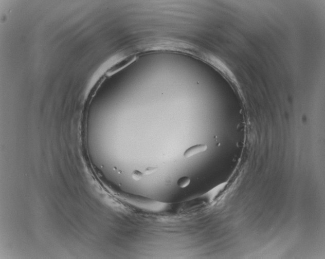 X0000063521138200601201426