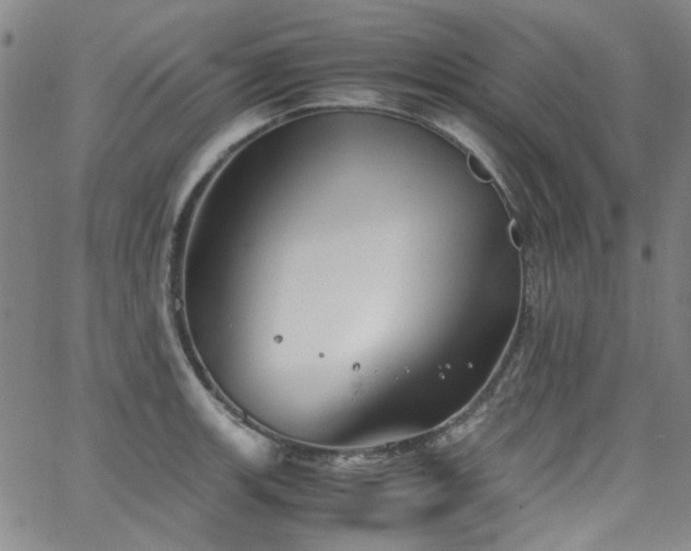 X0000063521139200601201426