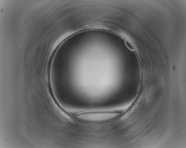 X0000063521141200601201426