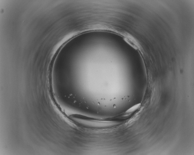 X0000063521142200601201426