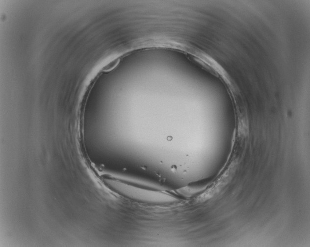 X0000063521144200601201426