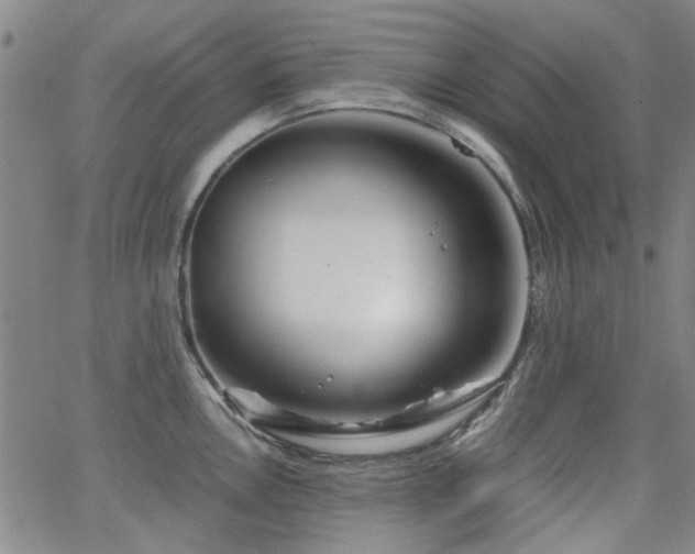 X0000063521146200601201426