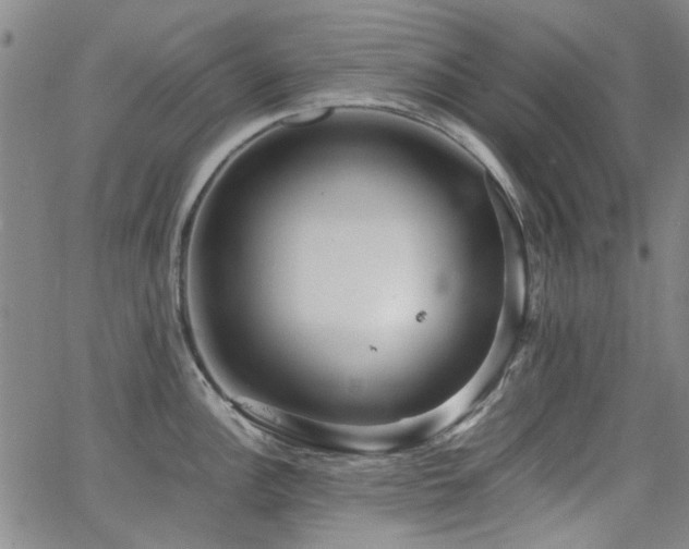 X0000063521148200601201426