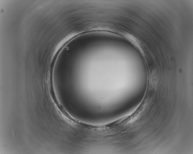 X0000063521149200601201426