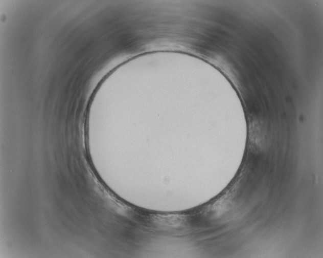 X0000063521150200601201426