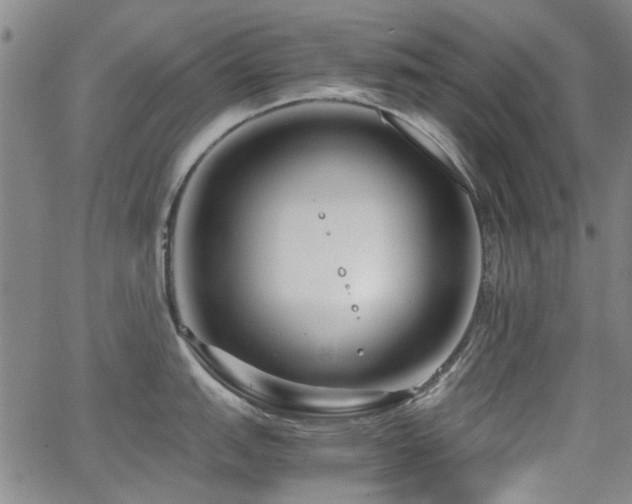 X0000063521151200601201426