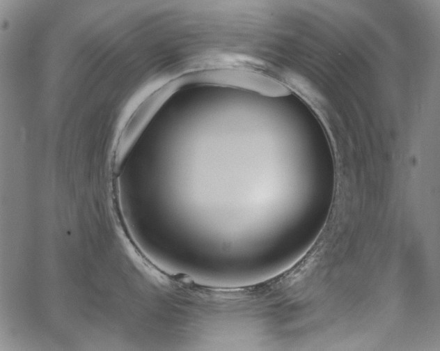 X0000063521152200601201426